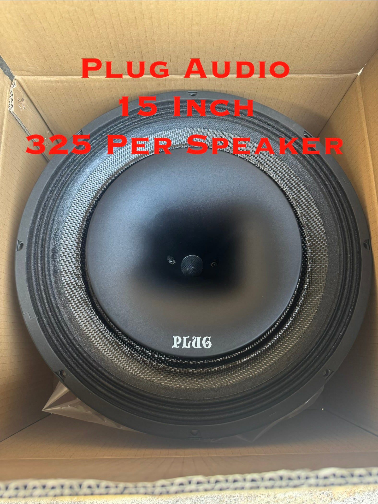 Plug Audio 15 Inch Midrange Horn Speaker