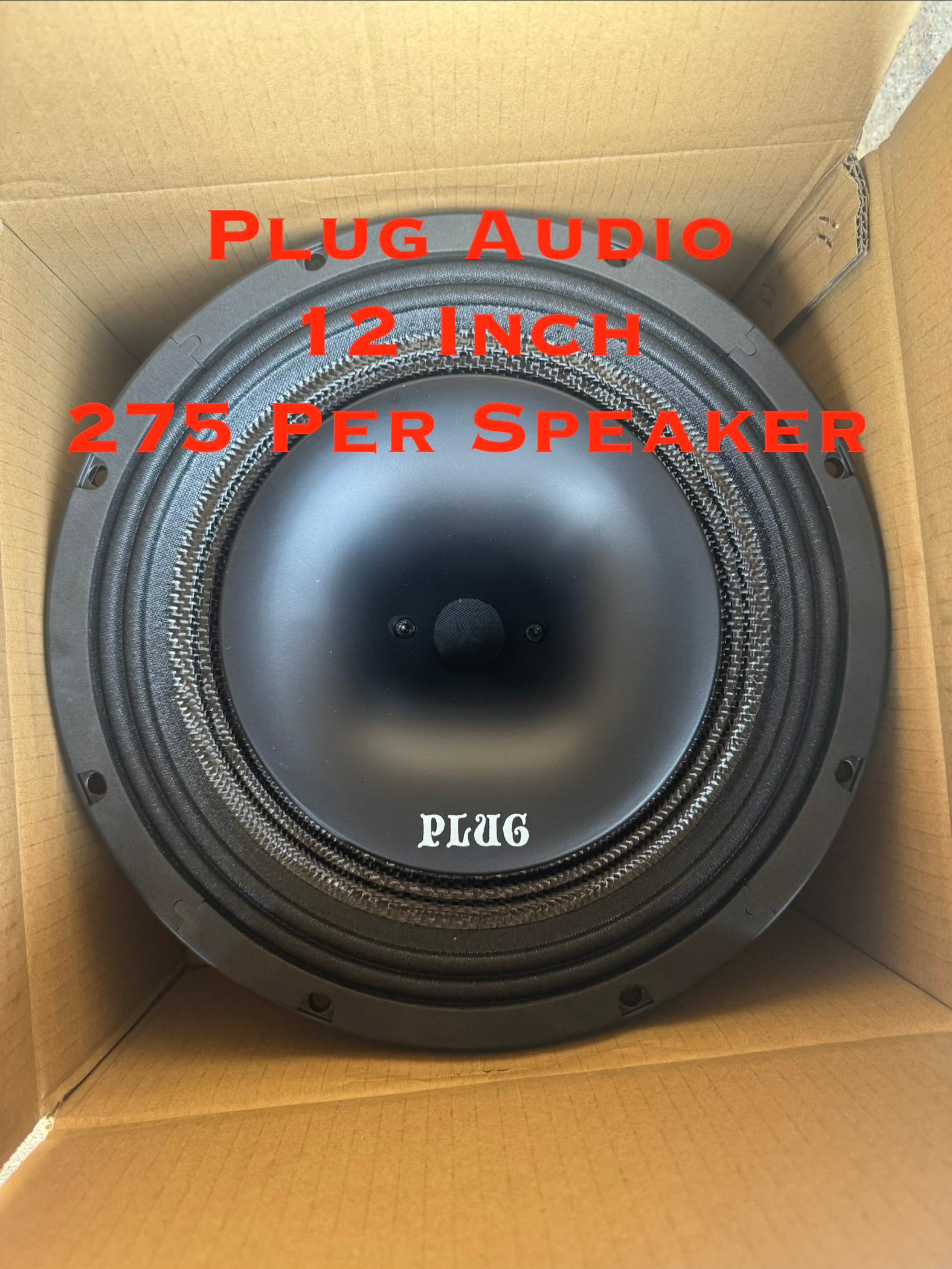 Plug Audio 12 Inch Midrange Horn Speaker